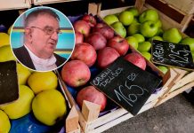 DOKTOR PERIŠIĆ OTKRIO: Jabukovo sirće je najbolji lijek za ove 23 bolesti, ali svi ga piju na pogrešan način