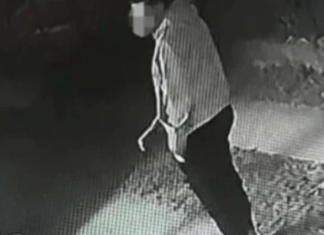 Marija iz Smedereva objavila snimak sa komšijine kamere: “Nisam očekivala taj potez, PA 0NA JE MAL0LJETNA, S LEĐA JE NA SlLU.. čuvajte svoje kćerke, predat0r je među nama”