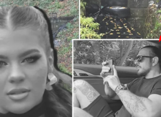 PRONAĐENA BEŽIV0TNA TIJELA NESTALE ANE I NJENOG PRIJATELJA koji je bio kamataš i kriminaIac: Tri dana bili zaglavljeni u autu, Ana više puta zvala poIiciju i hitnu, znali su sve, ali nisu zeljeli da ih spase – željeli da se riješe njega, jezivi detalji