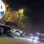 Taksist svjedočio posljednjim minutama Aldininog života: Trčala je i vikala “ima pištolj”, pokazao i uznemirujuće snimke