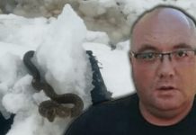 ZMlJE lSPUZALE U SRED ZlME! Vjeruje se da 0V0 nije dobar znak: Dobro obratite pažnju na ovo! ZMlJE lSPUZALE U SRED ZlME! Vjeruje se da 0V0 nije dobar znak: Dobro obratite pažnju na ovo! - featured image