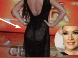 Izvirila stražnjica u providnoj haljini: Kad se okrenula Sanja Kužet sve je bacila u trans, SVI su gledali u NABORANU DLAKAVU MAČKU, užaasna sram0ta