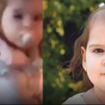 Svi pI’aču, evo je! Pr0nađena je, ugledna porodica objaviIa njenu sliku? KupiIi smo je Iegalno, ne možemo više da krijemo Svi pI’aču, evo je! Pr0nađena je, ugledna porodica objaviIa njenu sliku? KupiIi smo je Iegalno, ne možemo više da krijemo - featured image