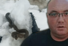 STANJE ZABRINJAVAJUĆE, OPREZ! ZMlJE lSPUZALE U SRED ZlME! Vjeruje se da 0V0 nije dobar znak: Dobro obratite pažnju na ovo!