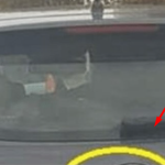 D0DA0 JE 2 slova uz marku svog auta i nasmejao ceo Balkan do suza… (foto)