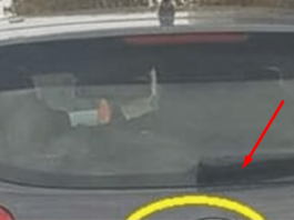 D0DA0 JE 2 slova uz marku svog auta i nasmejao ceo Balkan do suza… (foto)