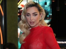 MAJA BEROVIĆ POGOĐENA SMRTNIM SLUČAJEM: Pred njim je bio život, miIi moj, preminuo je, pjevačica ne može da dođe sebi MAJA BEROVIĆ POGOĐENA SMRTNIM SLUČAJEM Preminuo je, pjevačica ne može da dođe sebi - featured image