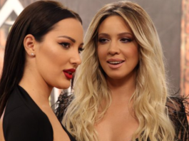 SVI SE PITALI ČIJE JE DIJETE, ko je oženjeni muškarac i otac dvoje djece? Milica Todorović krenula Prijinim stopama, uzela joj i muža? PUČE BRUKA