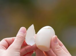 Kuhana jaja se ljušte u jednom potezu: Samo dodajte 1 sastojak u vodu i ljuska spada sama