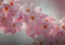 Od 1. aprila kreće najljepše vrijeme za 3 znaka: Nijedan problem neće ostati neriješen