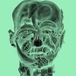 Ne varaj,prva životinja koju vidis otkrit će tvoju najgoru manju