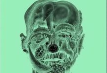 Ne varaj,prva životinja koju vidis otkrit će tvoju najgoru manju