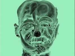 Ne varaj,prva životinja koju vidis otkrit će tvoju najgoru manju