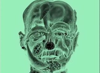 Ne varaj,prva životinja koju vidis otkrit će tvoju najgoru manju