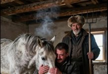 “Otac, sin i konj: Priča o ljubavi, žrtvi i vrednostima koje novac ne može kupiti”