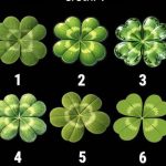 Izaberite neobičnog da vidite koliko ste zaista “sretni”………