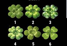 Izaberite neobičnog da vidite koliko ste zaista “sretni”………