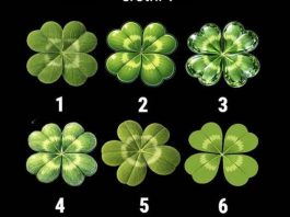 Izaberite neobičnog da vidite koliko ste zaista “sretni”………