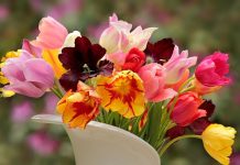 Cvijeće u vazi neće uvenuti mjesec dana!-Cvjećarka otkrila trik koji koristi za svježinu