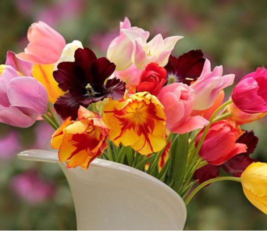 Cvijeće u vazi neće uvenuti mjesec dana!-Cvjećarka otkrila trik koji koristi za svježinu