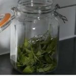 ČAJ OD OVE BILJKE SE PIJE PRED SPAVANJE: Uspavaće vas kao malu bebu i obrisati nervozu u sekundi – morate probati