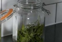 ČAJ OD OVE BILJKE SE PIJE PRED SPAVANJE: Uspavaće vas kao malu bebu i obrisati nervozu u sekundi – morate probati