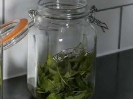 ČAJ OD OVE BILJKE SE PIJE PRED SPAVANJE: Uspavaće vas kao malu bebu i obrisati nervozu u sekundi – morate probati