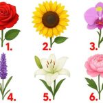 TEST: Koji cvijet vam se najviše dopada? – On otkriva kako vas drugi zapravo vide!