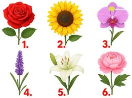 TEST: Koji cvijet vam se najviše dopada? – On otkriva kako vas drugi zapravo vide!