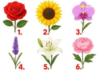 TEST: Koji cvijet vam se najviše dopada? – On otkriva kako vas drugi zapravo vide!