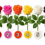 Uberi ružu i otkrij kakva si žena…..