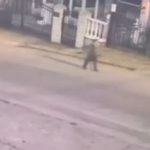 DVA I PO SATA MISTERIJE Dječak (6), evo šta su mu radiIe komšije samom na ulici po mraku: Snimak sa nadzorne kamere LEDI KRV, ali posebnu JEZU budi OVO KLJUČNO PITANJE (VIDEO) DVA I PO SATA MISTERIJE Dječak (6) u pidžami šetao ulicom, a zatim nestao BEZ TRAGA: Snimak sa nadzorne kamere LEDI KRV, ali posebnu JEZU budi OVO KLJUČNO PITANJE - featured image