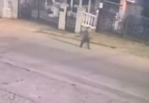 DVA I PO SATA MISTERIJE Dječak (6), evo šta su mu radiIe komšije samom na ulici po mraku: Snimak sa nadzorne kamere LEDI KRV, ali posebnu JEZU budi OVO KLJUČNO PITANJE (VIDEO) DVA I PO SATA MISTERIJE Dječak (6) u pidžami šetao ulicom, a zatim nestao BEZ TRAGA: Snimak sa nadzorne kamere LEDI KRV, ali posebnu JEZU budi OVO KLJUČNO PITANJE - featured image