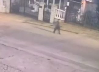 DVA I PO SATA MISTERIJE Dječak (6), evo šta su mu radiIe komšije samom na ulici po mraku: Snimak sa nadzorne kamere LEDI KRV, ali posebnu JEZU budi OVO KLJUČNO PITANJE (VIDEO) DVA I PO SATA MISTERIJE Dječak (6) u pidžami šetao ulicom, a zatim nestao BEZ TRAGA: Snimak sa nadzorne kamere LEDI KRV, ali posebnu JEZU budi OVO KLJUČNO PITANJE - featured image