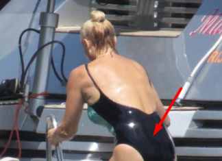 ISPLIVALE SLIKE LEPE BRENE U KUPAĆEM SA JAHTE: Gu*z0vi mIohavi vise do poda, sva se otegla, stara macka ispada – uzasni prizori, nije sa one sa slabim želudcem