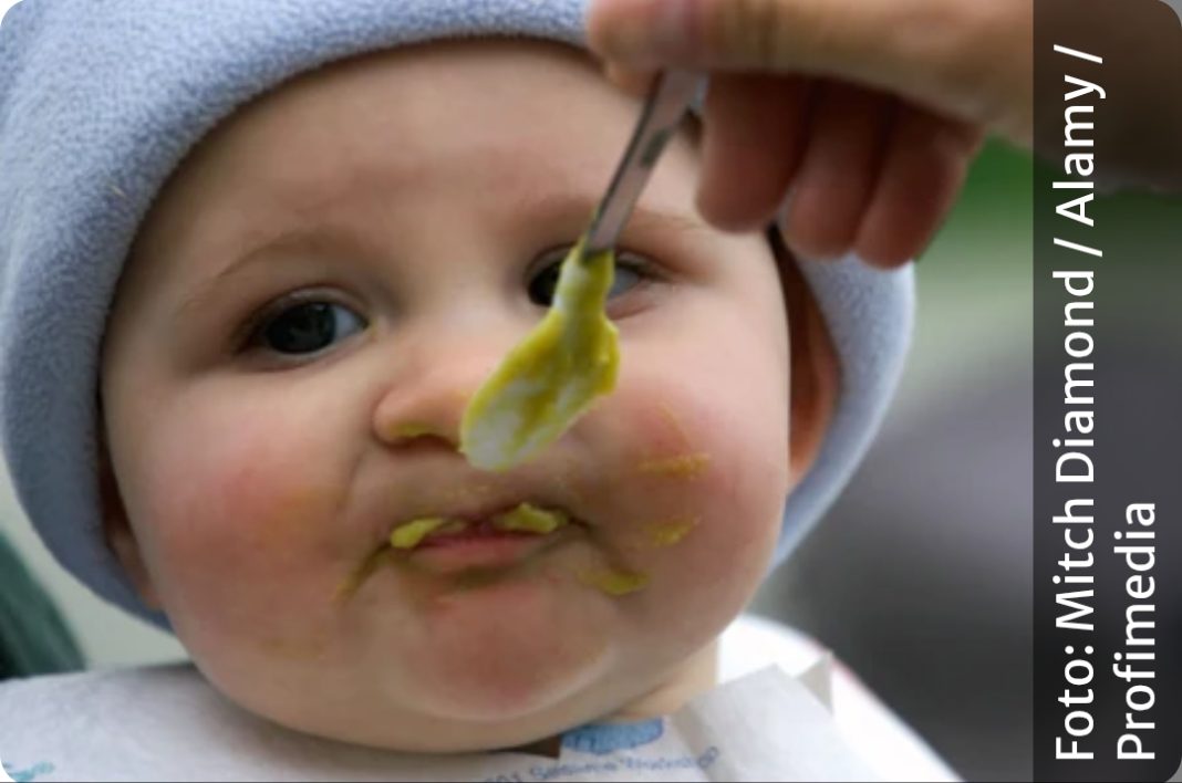 OTROV ZA PACOVE U KAŠICAMA ZA BEBE BRENDA KOJI JE PRISUTAN I U SRBIJI! Novi detalji velikog skandala, nije isključeno da je u pitanju NAMJERNA KONTAMINACIJA - featured image