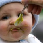 OTROV ZA PACOVE U KAŠICAMA ZA BEBE BRENDA KOJI JE PRISUTAN NA BALKANU! Novi detalji velikog skandala, PROVJERITE DATUM NA TEGLICAMA I SAZNAJTE DA LI JE VAŠA TEGLA SA OTROVOM OTROV ZA PACOVE U KAŠICAMA ZA BEBE BRENDA KOJI JE PRISUTAN I U SRBIJI! Novi detalji velikog skandala, nije isključeno da je u pitanju NAMJERNA KONTAMINACIJA - featured image