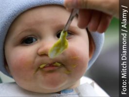 OTROV ZA PACOVE U KAŠICAMA ZA BEBE BRENDA KOJI JE PRISUTAN NA BALKANU! Novi detalji velikog skandala, PROVJERITE DATUM NA TEGLICAMA I SAZNAJTE DA LI JE VAŠA TEGLA SA OTROVOM OTROV ZA PACOVE U KAŠICAMA ZA BEBE BRENDA KOJI JE PRISUTAN I U SRBIJI! Novi detalji velikog skandala, nije isključeno da je u pitanju NAMJERNA KONTAMINACIJA - featured image