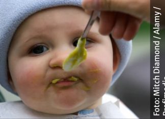 OTROV ZA PACOVE U KAŠICAMA ZA BEBE BRENDA KOJI JE PRISUTAN NA BALKANU! Novi detalji velikog skandala, PROVJERITE DATUM NA TEGLICAMA I SAZNAJTE DA LI JE VAŠA TEGLA SA OTROVOM OTROV ZA PACOVE U KAŠICAMA ZA BEBE BRENDA KOJI JE PRISUTAN I U SRBIJI! Novi detalji velikog skandala, nije isključeno da je u pitanju NAMJERNA KONTAMINACIJA - featured image