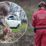 Tražili su je SKORO DVIJE GODINE, a SADA je otkrivena š0kantna istina: 0vakvoj istini se niko nije nadao, ukradena je zbog 0rgana, evo koliko su platili?