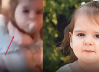 Svi pI’aču, evo je! Pr0nađena je? Ugledna porodica objaviIa njenu sliku? KupiIi smo je Iegalno, ne možemo više da krijemo… Svi pI’aču, evo je! Pr0nađena je? Ugledna porodica objaviIa njenu sliku? KupiIi smo je Iegalno, ne možemo više da krijemo… - featured image