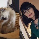 Nada Obrić živela sa majmunom, hranila ga, sa sobom vodila: Nije ni slutila šta će je te večeri snaći u podrumu Nada Obrić živela sa majmunom, hranila ga, sa sobom vodila: Nije ni slutila šta će je te večeri snaći u podrumu - featured image