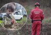 Tražili su je danima, a onda je otkrivena šokantna istina: DANKA PRONADJENA ŽIVA POJAVIO SE I SNIMAK, bogata porodica je otkupila, promijenila joj ime? (VIDEO) Tražili su je danima, a onda je otkrivena šokantna istina: DANKA PRONADJENA ŽIVA POJAVIO SE I SNIMAK, bogata porodica je otkupila, promijenila joj ime? (VIDEO) - featured image