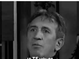 “SRCE BALKANA STALO!! – Prijatelj Žike Jakšića objavio SVIMA ! (FOTO) “SRCE BALKANA STALO!! – Prijatelj Žike Jakšića objavio SVIMA ! (FOTO) - featured image