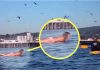 Snimala je svoju kćerku na plaži, ali nije ni slutila šta će se desiti narednih sekundi! OVO MORATE VIDJETI, OPREZ RODITELJI Snimala je svoju kćerku na plaži, ali nije ni slutila šta će se desiti narednih sekundi! - featured image