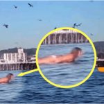 Snimala je svoju kćerku na plaži, ali nije ni slutila šta će se desiti narednih sekundi! OVO MORATE VIDJETI, OPREZ RODITELJI Snimala je svoju kćerku na plaži, ali nije ni slutila šta će se desiti narednih sekundi! - featured image