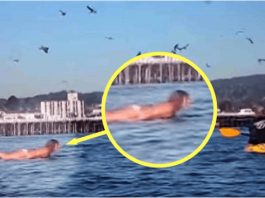 Snimala je svoju kćerku na plaži, ali nije ni slutila šta će se desiti narednih sekundi! OVO MORATE VIDJETI, OPREZ RODITELJI Snimala je svoju kćerku na plaži, ali nije ni slutila šta će se desiti narednih sekundi! - featured image