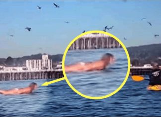 Snimala je svoju kćerku na plaži, ali nije ni slutila šta će se desiti narednih sekundi! OVO MORATE VIDJETI, OPREZ RODITELJI Snimala je svoju kćerku na plaži, ali nije ni slutila šta će se desiti narednih sekundi! - featured image