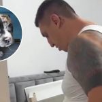 “Bacio ga, od udarca mu je naprslo koleno”: Kristina objavila jeziv snimak povređenog psa, Kristijan podivljao "Bacio ga, od udarca mu je naprslo koleno": Kristina objavila jeziv snimak povređenog psa, Kristijan podivljao - featured image