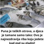 Puna je teških otrova, a djeca je tamane samo tako: Ovo je najnezdravija riba koju jedete kad god su gladni!